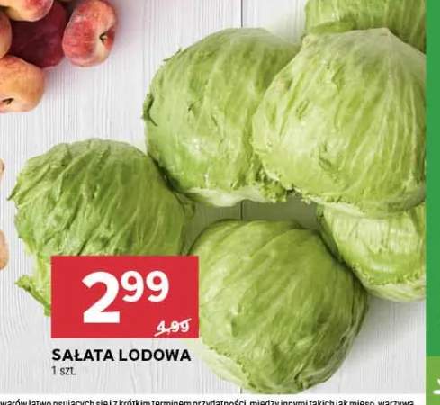 Sałata lodowa