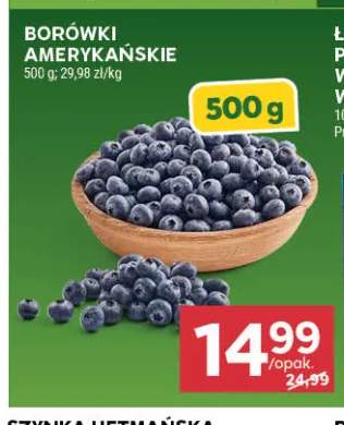Borówki amerykańskie