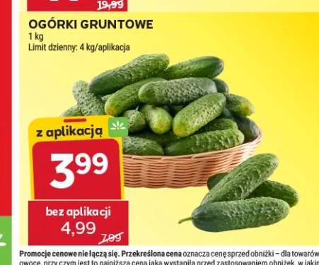 Ogórki gruntowe