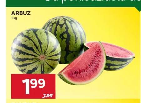 Arbuz