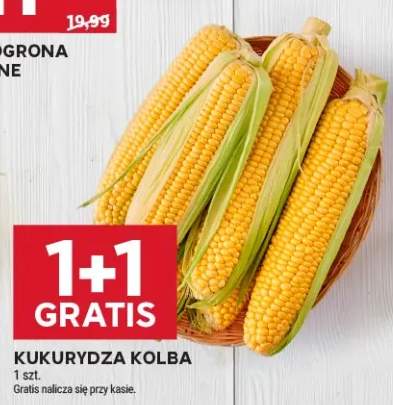 Kukurydza kolba