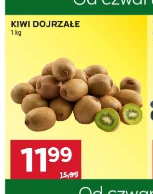 Kiwi dojrzałe