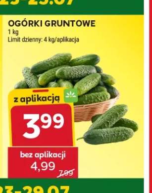 Ogórki gruntowe