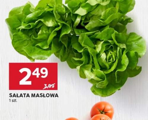 Sałata masłowa