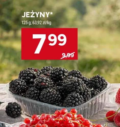 Jeżyny