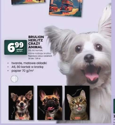 Brulion Herlitz Crazy Animal A6 80 kartek