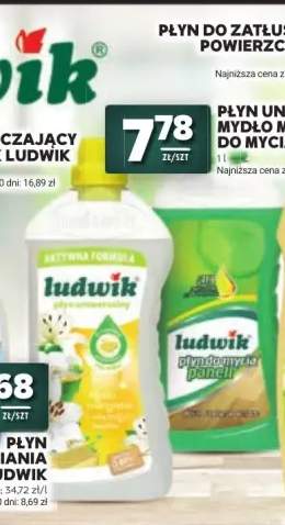Płyn uniwersalny mydło marsylskie Ludwik +1 wariant