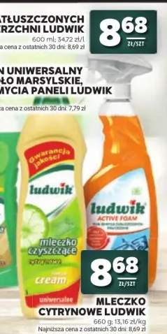 Płyn do zatłuszczonych powierzchni Ludwik Active Foam +1 wariant