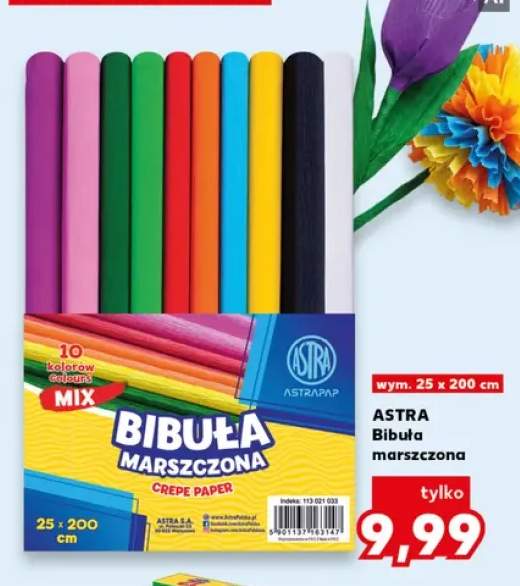 bibuła