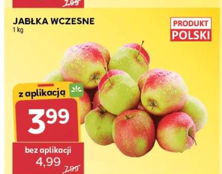 Jabłka wczesne