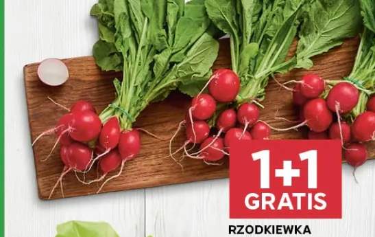 Rzodkiewka