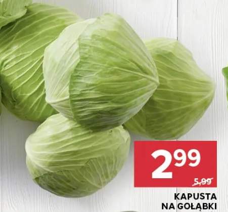 Kapusta na gołąbki