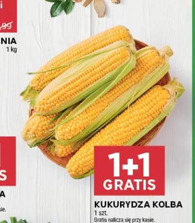 Kukurydza kolba