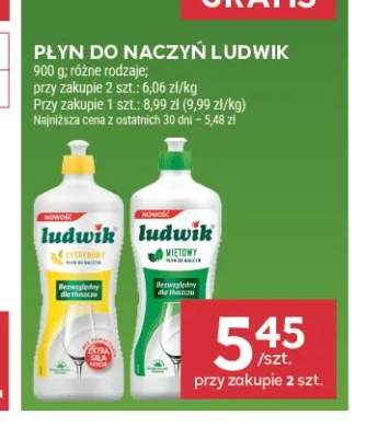 Płyn do naczyń miętowy Ludwik +1 wariant