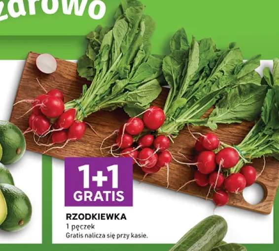 Rzodkiewka