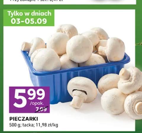Pieczarki