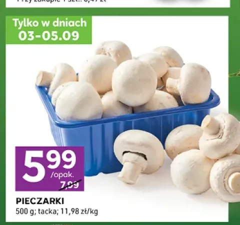 Pieczarki