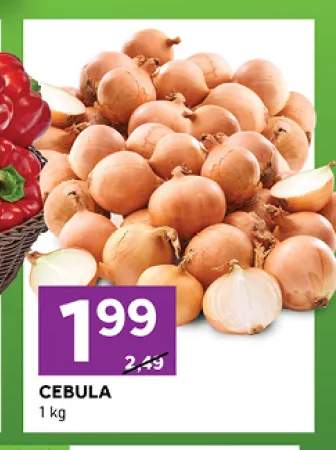 Cebula