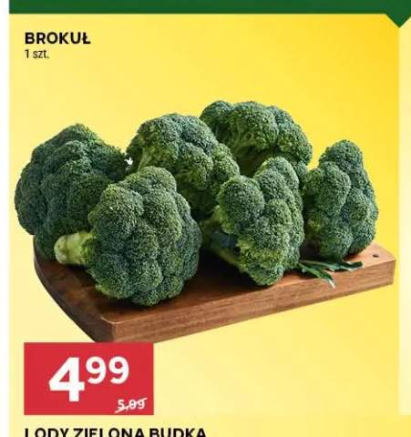 Brokuł