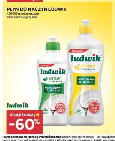 Płyn do naczyń miętowy Ludwik +1 wariant
