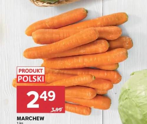 Marchew polska