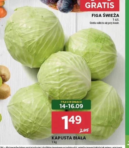 Kapusta biała