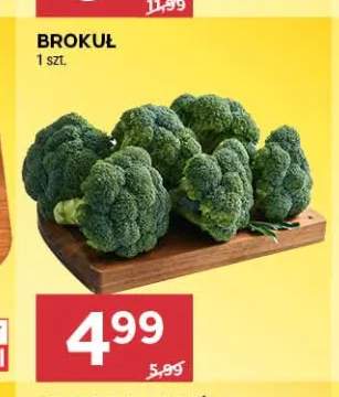 Brokuł