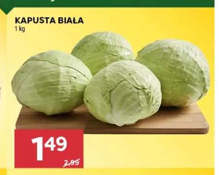 Kapusta biała