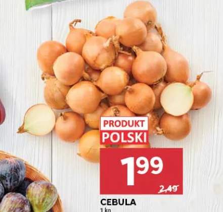 Cebula