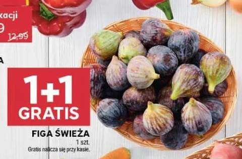 Figa świeża