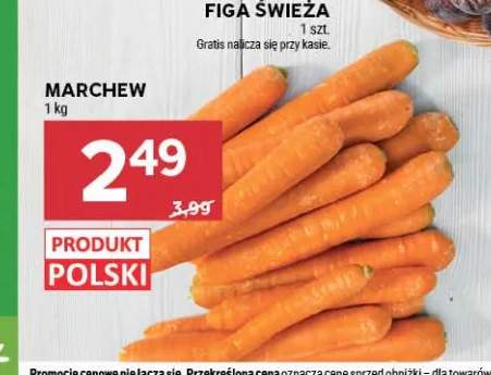 Marchew