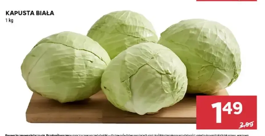 Kapusta biała