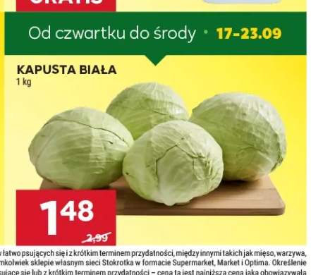 Kapusta biała