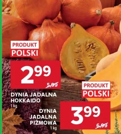 Dynia jadalna Hokkaido