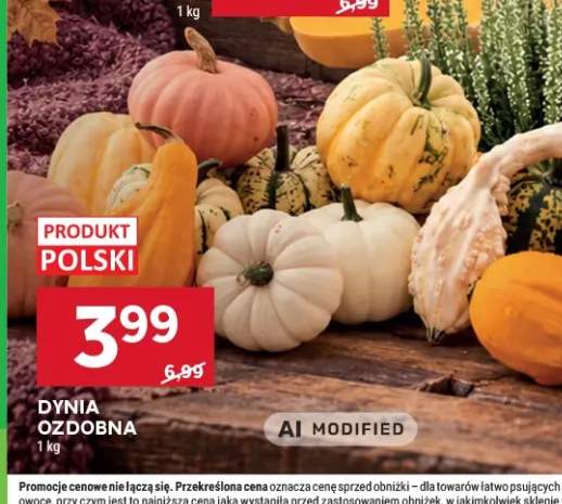 Dynia ozdobna