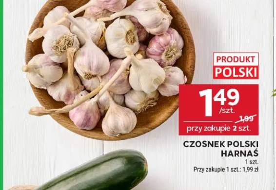 Czosnek polski Harnaś