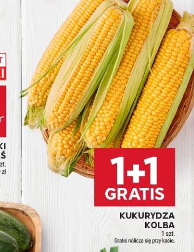 Kukurydza kolba