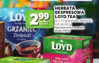 Herbata ekspresowa Loyd Tea Grzaniec Zbójnicki
