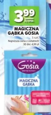 Magiczna gąbka Gosia