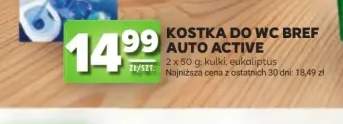 Kostka do WC Bref Color Aktiv eukaliptus 2-pak