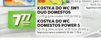 Kostka do WC 3w1 Duo Domestos pine 2-pak +3 warianty
