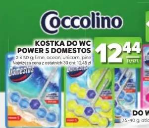 Kostka do WC Power 5 Domestos lime 2-pak +3 warianty