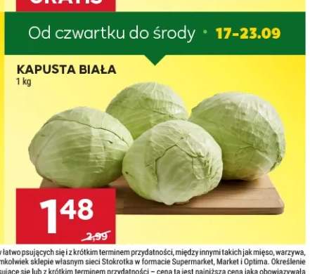 Kapusta biała