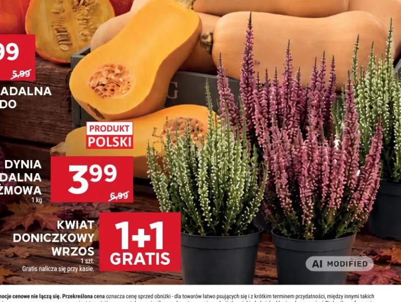 Kwiat doniczkowy wrzos