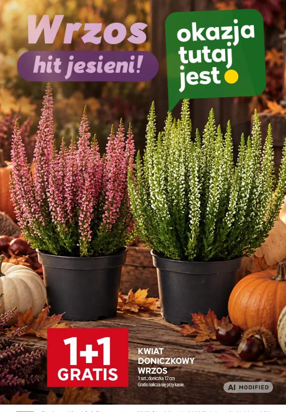 Kwiat doniczkowy wrzos