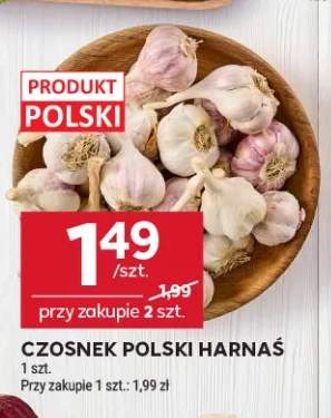 Czosnek polski Harnaś