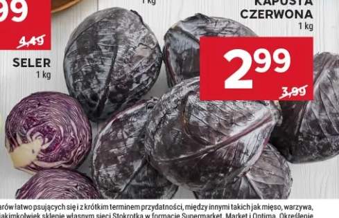 Kapusta czerwona