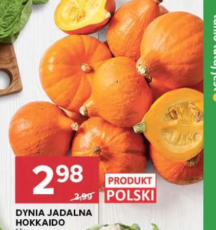 Dynia jadalna Hokkaido
