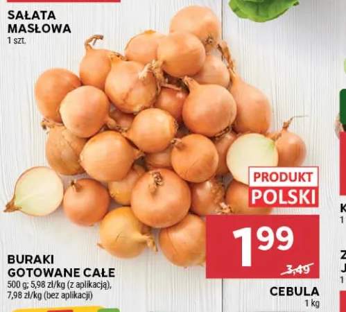 Cebula