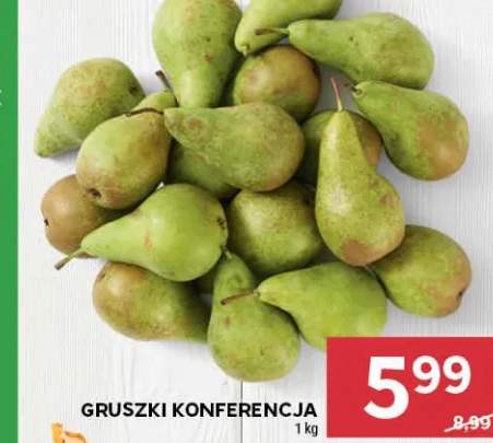 Gruszki Konferencja